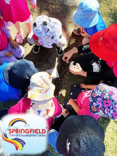Springfield Children Development Centre